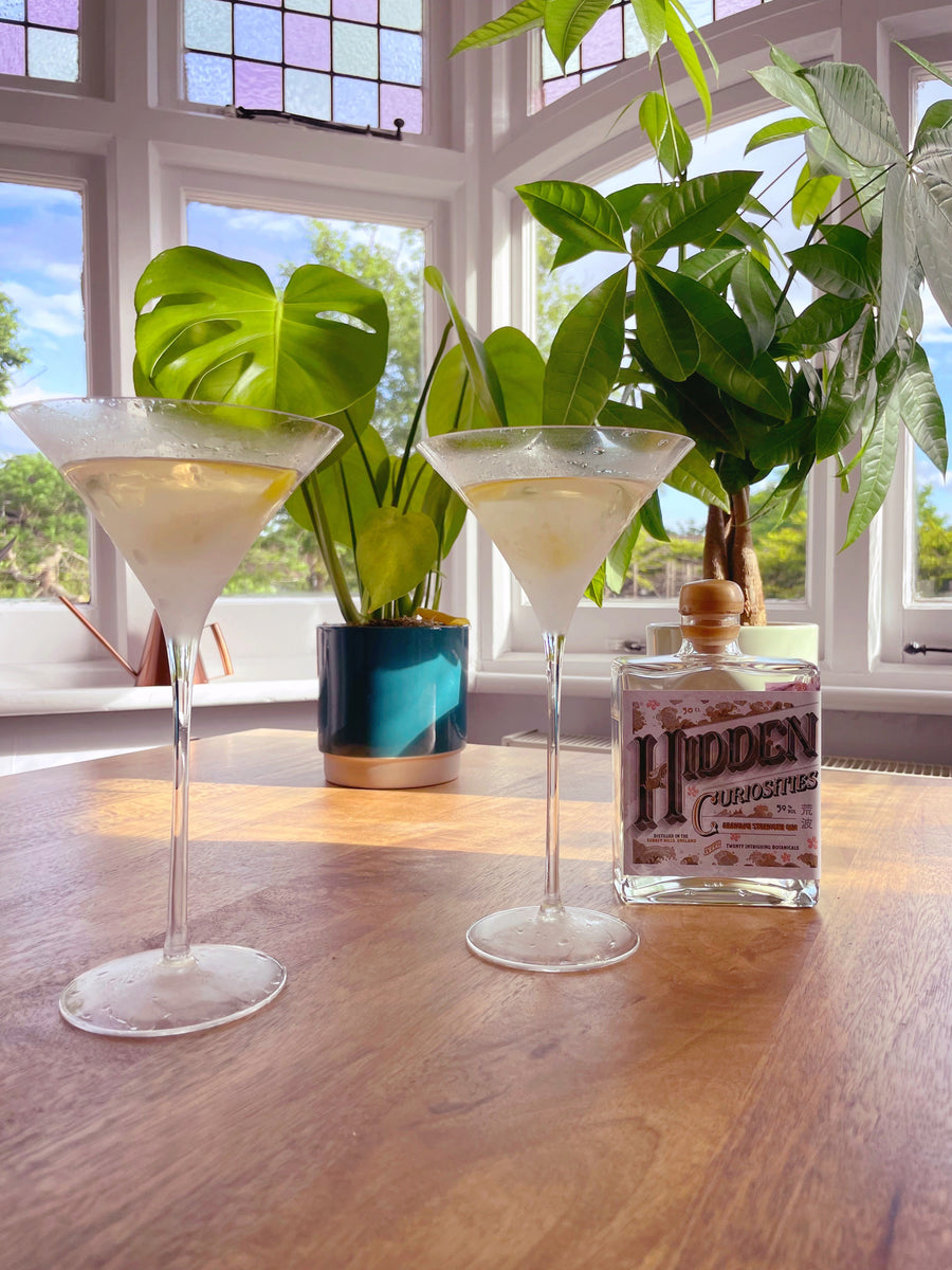 Super Chill How to Make an Extra Cold Martini Hidden Curiosities Gin