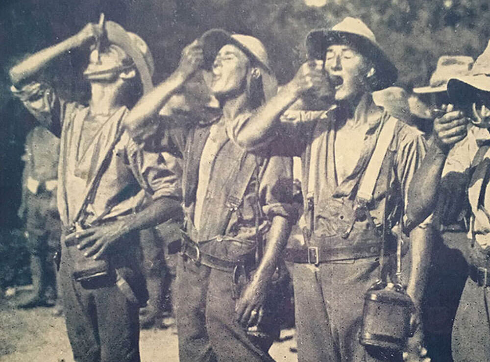 The History of Tonic Water Hidden Curiosities Gin