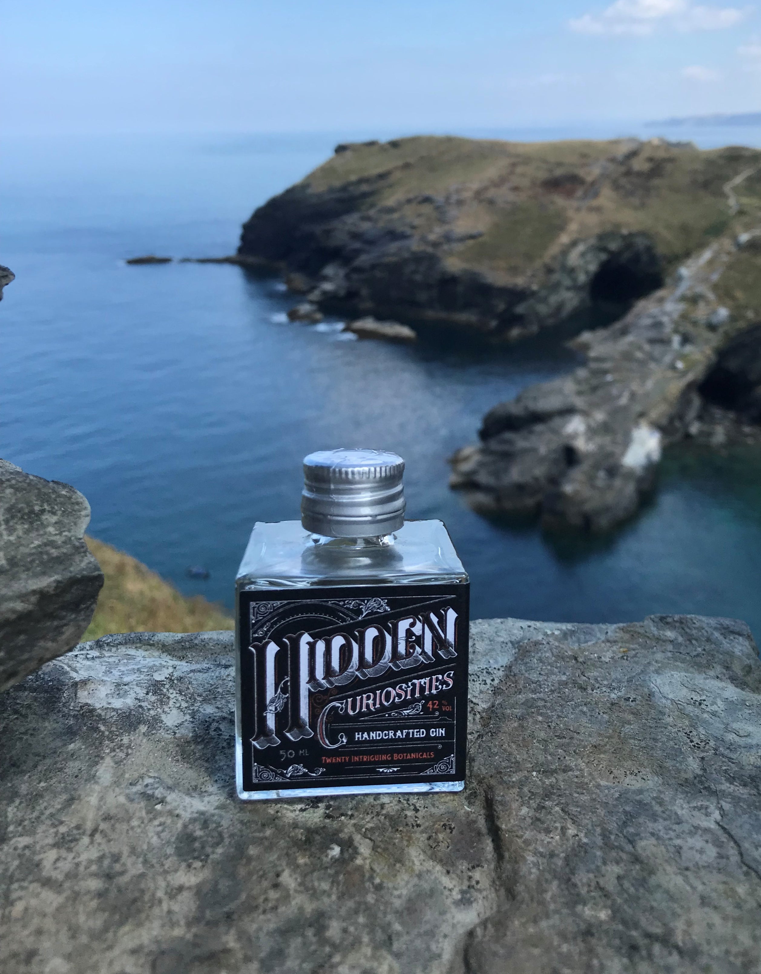 Hidden Curiosities Gin Miniature