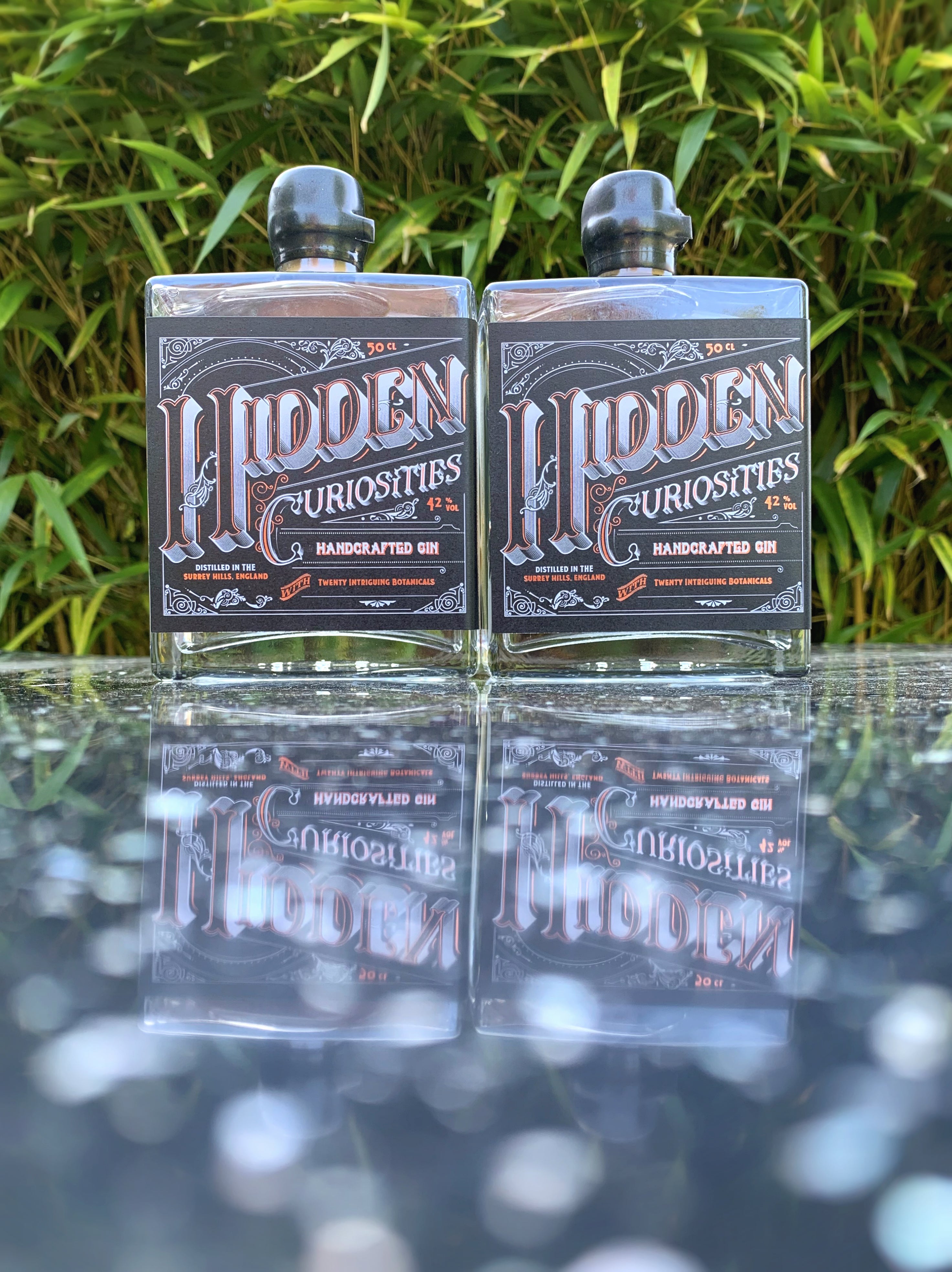Hidden Curiosities Gin Twin Pack