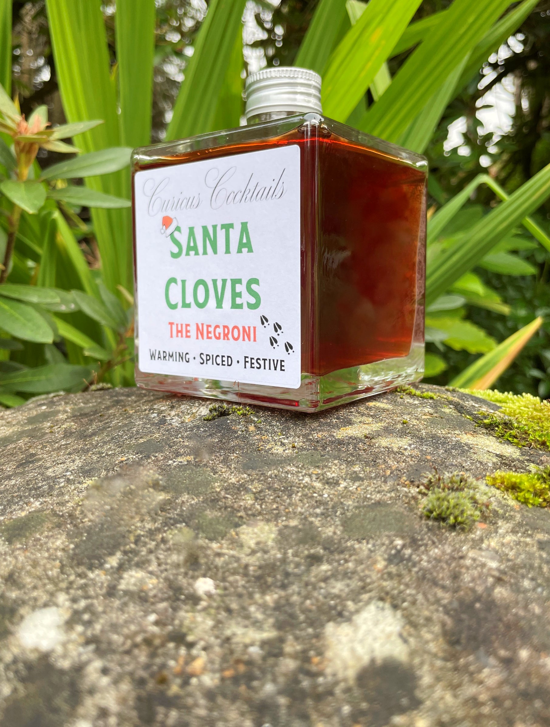 Curious Cocktails: Santa Cloves The Negroni